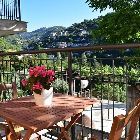 The Old Coffeehouse *