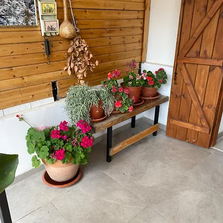 The Old Coffeehouse *