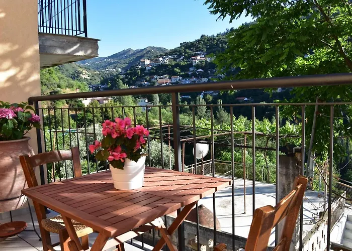 The Old Coffeehouse *