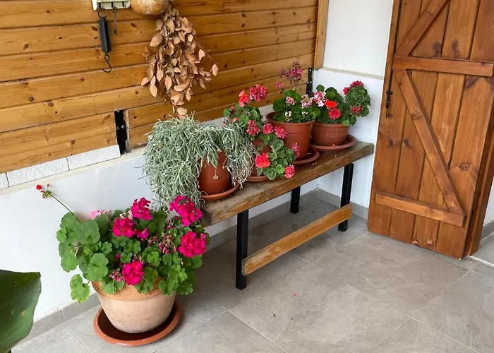 The Old Coffeehouse *